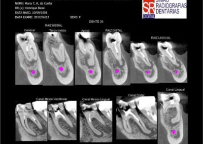 Case Study Images -Bassi 3