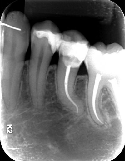 Case Study Images - Guilherme 1-2_2