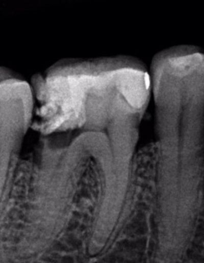 Case Study Images -Hugo 8-1