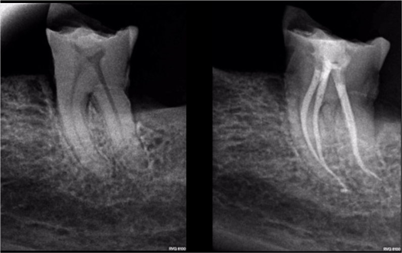 CASE STUDY: Hugo Bastos Case 9