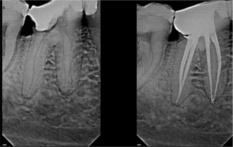 CASE STUDY: Carlos Resende Case 6