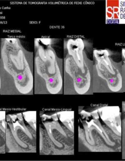 Case-Study-Images-Bassi-3